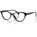 RA7197U5001 alt