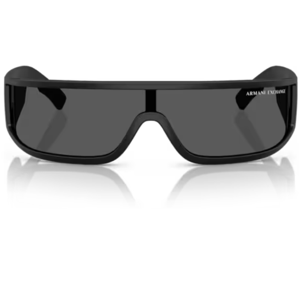 [AX4153SU805887] ARMANI EXCHANGE sol MÁSCARA (NO POL) 4153SU col 805887