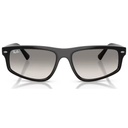 RAY BAN sol NEGRO G15 (NO POL) 2225 90132 C59